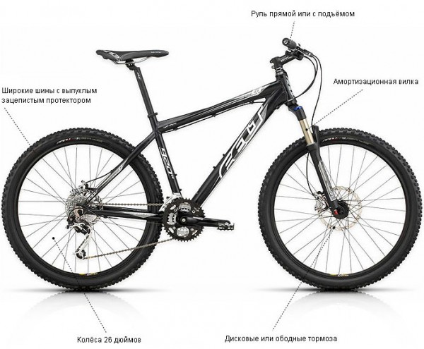 Важливо знати, що поняття «гірський велосипед» об'єднує кілька підтипів, що істотно відрізняються як за призначенням, так і конструкції