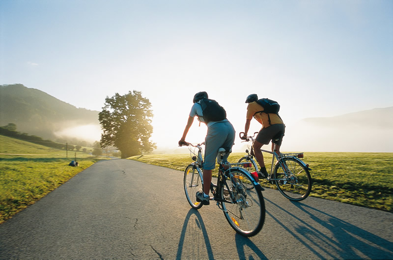 Перш ніж визначитися з класом велосипеда, подумайте, в яких умовах ви збираєтеся його використовувати: будете ви переміщатися по місту і доріжках найближчого парку або підкорювати гори, лісову місцевість, може бути, їздити по трасі