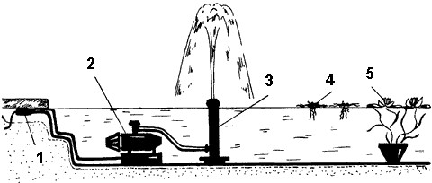 На фото показаний приклад того, як можна використовувати занурювальний насос для фонтану при організації оформлення невеликого ставка
