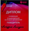 Весільна премія 2011   Aladdin-Limuzin знову стає переможцем премії «Червона морква» підтвердив звання кращої в номінації «Краща компанія з прокату лімузинів і автомобілів 2011 року»